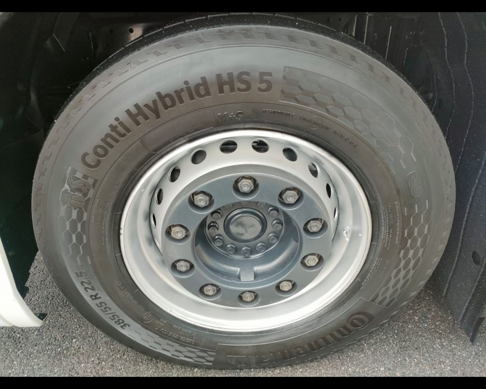 IVECO S-Way AS 440 S530 CV T/P hi-tronix - AUTO INDUSTRIALE BERGAMASCA